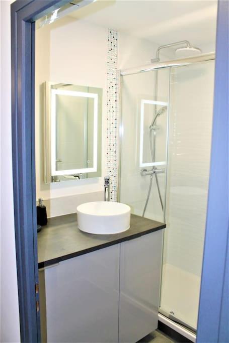 Le Chartreuse Apartment Voiron Bagian luar foto